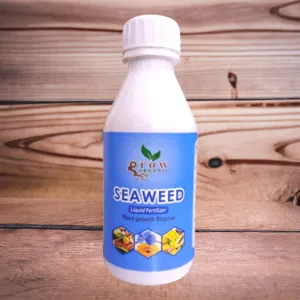 Seaweed liquid fertilizer