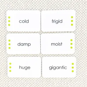 Synonyms